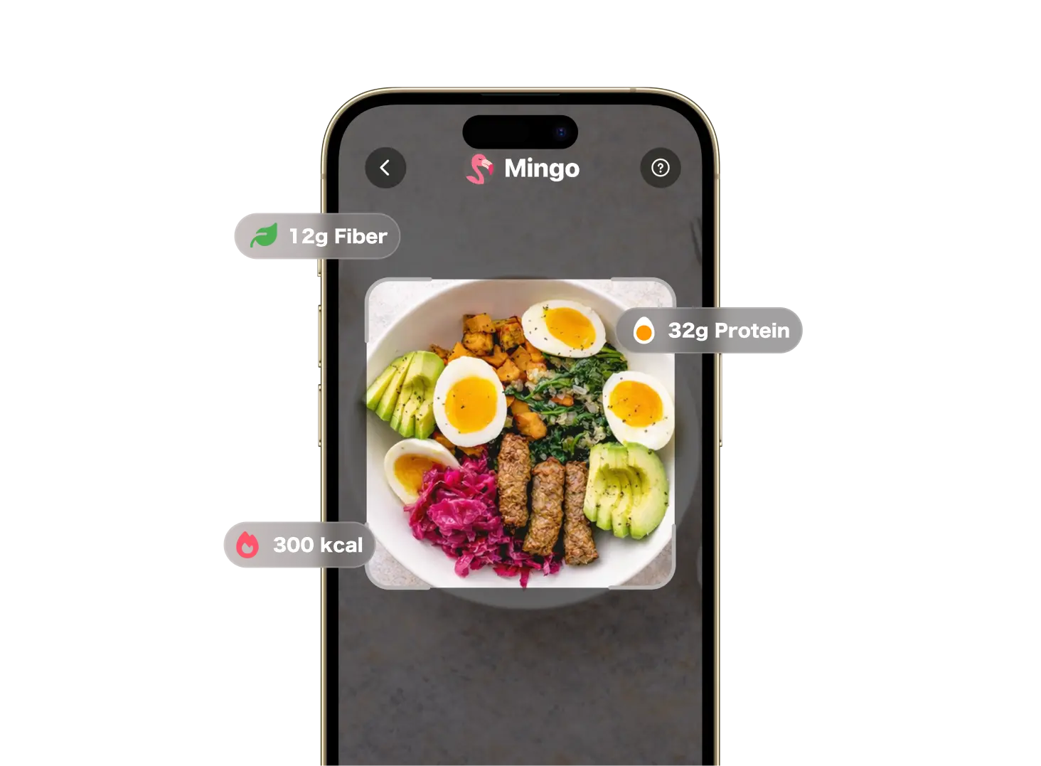 تسجيل الطعام في Mingo